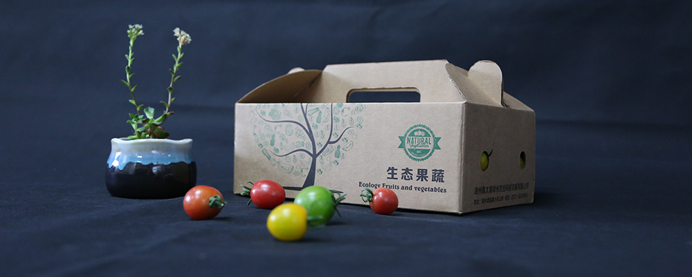 豪利777(中国)英超切尔西官方相助同伴