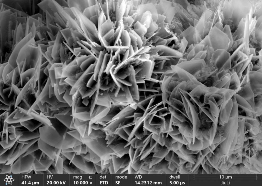 豪利777(中国)英超切尔西官方相助同伴